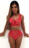 European and American Sexy Lace Two-piece Bikini Women